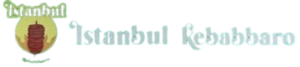 Istanbul Pizza Kebap